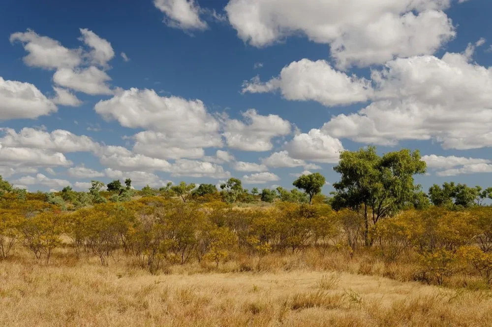 Trailer Modifications & Repairs Cloncurry